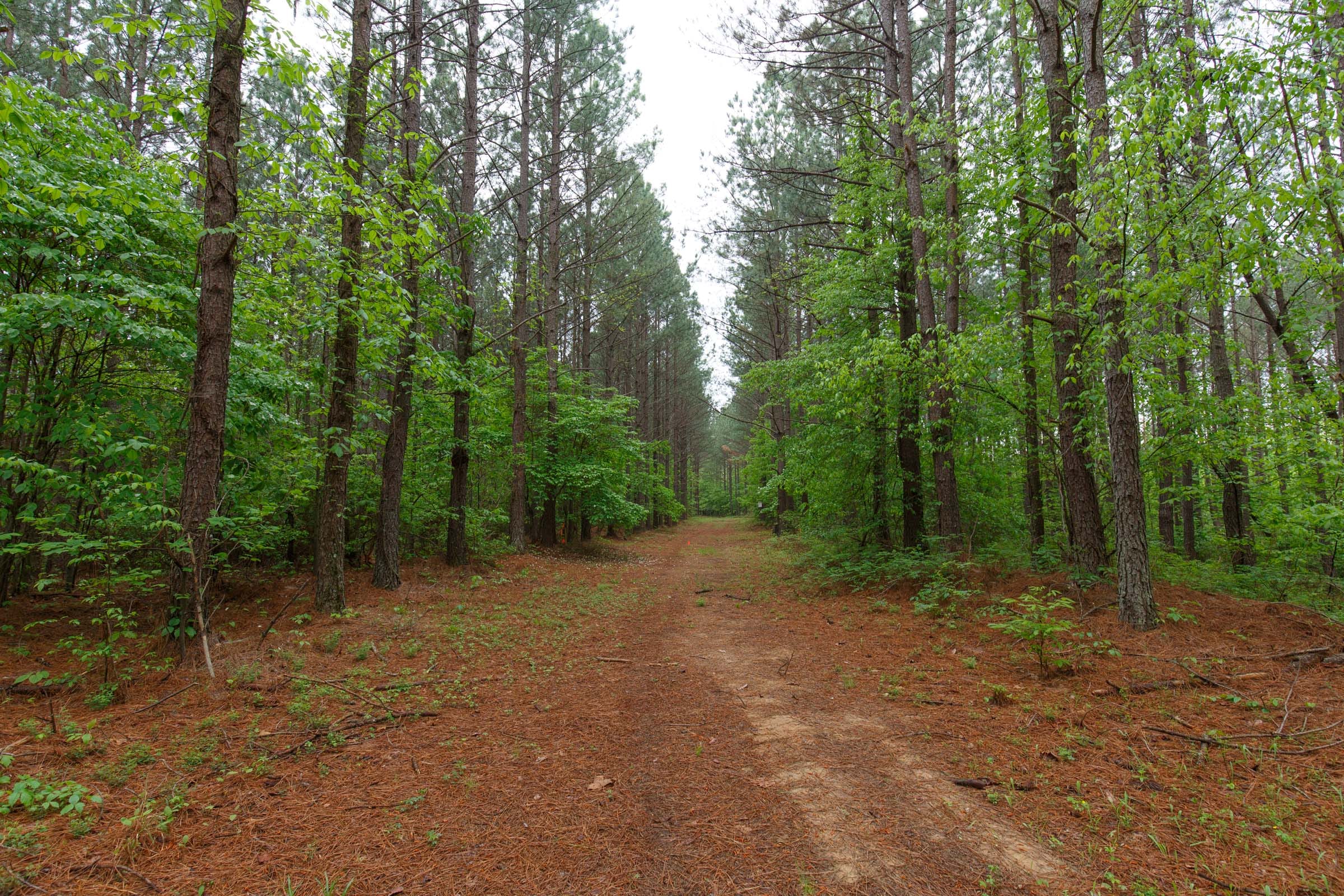 Red Barn Ranch Tract 27 photo 8
