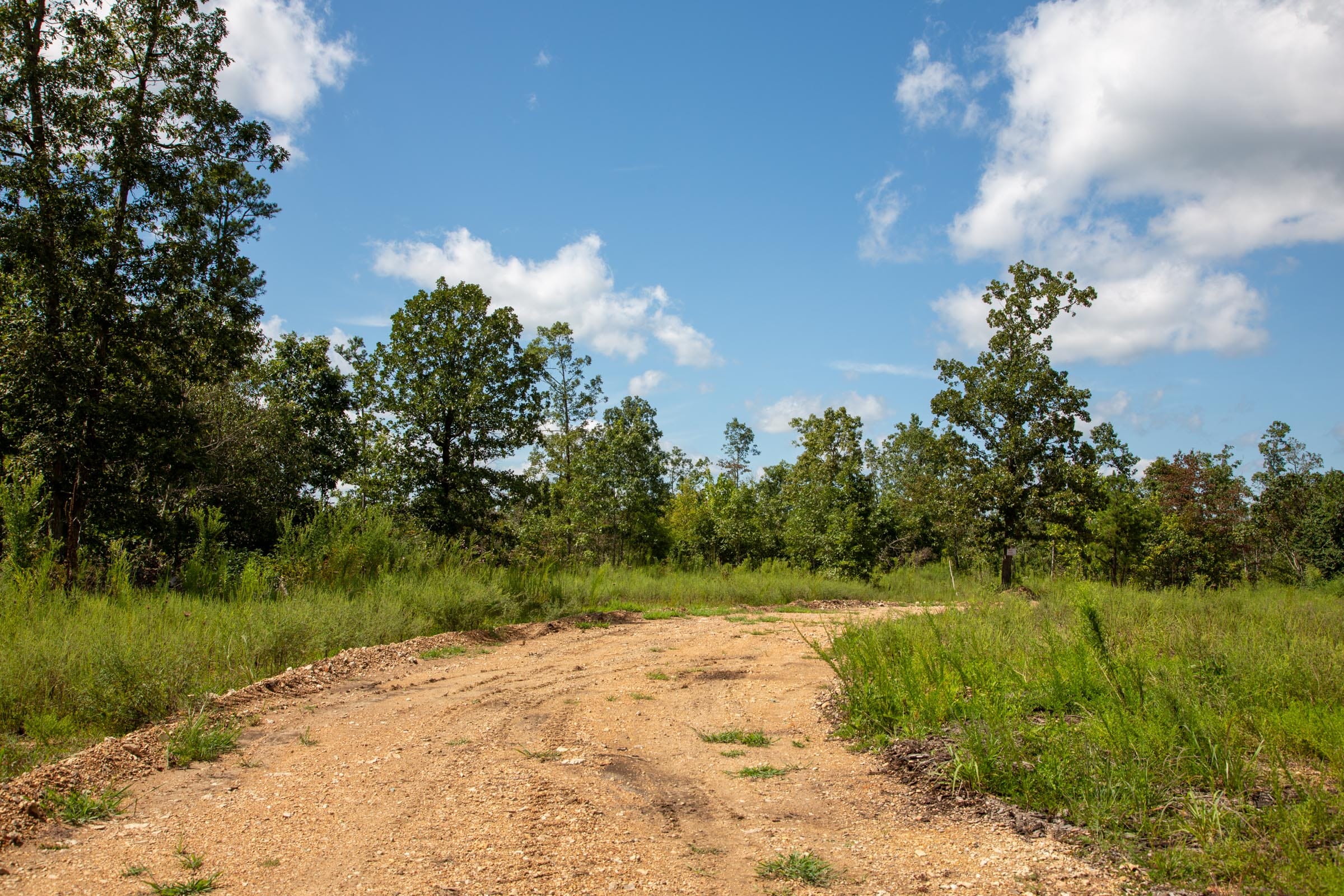 Borgmann’s Hollow Phase III Tract 80 photo 8