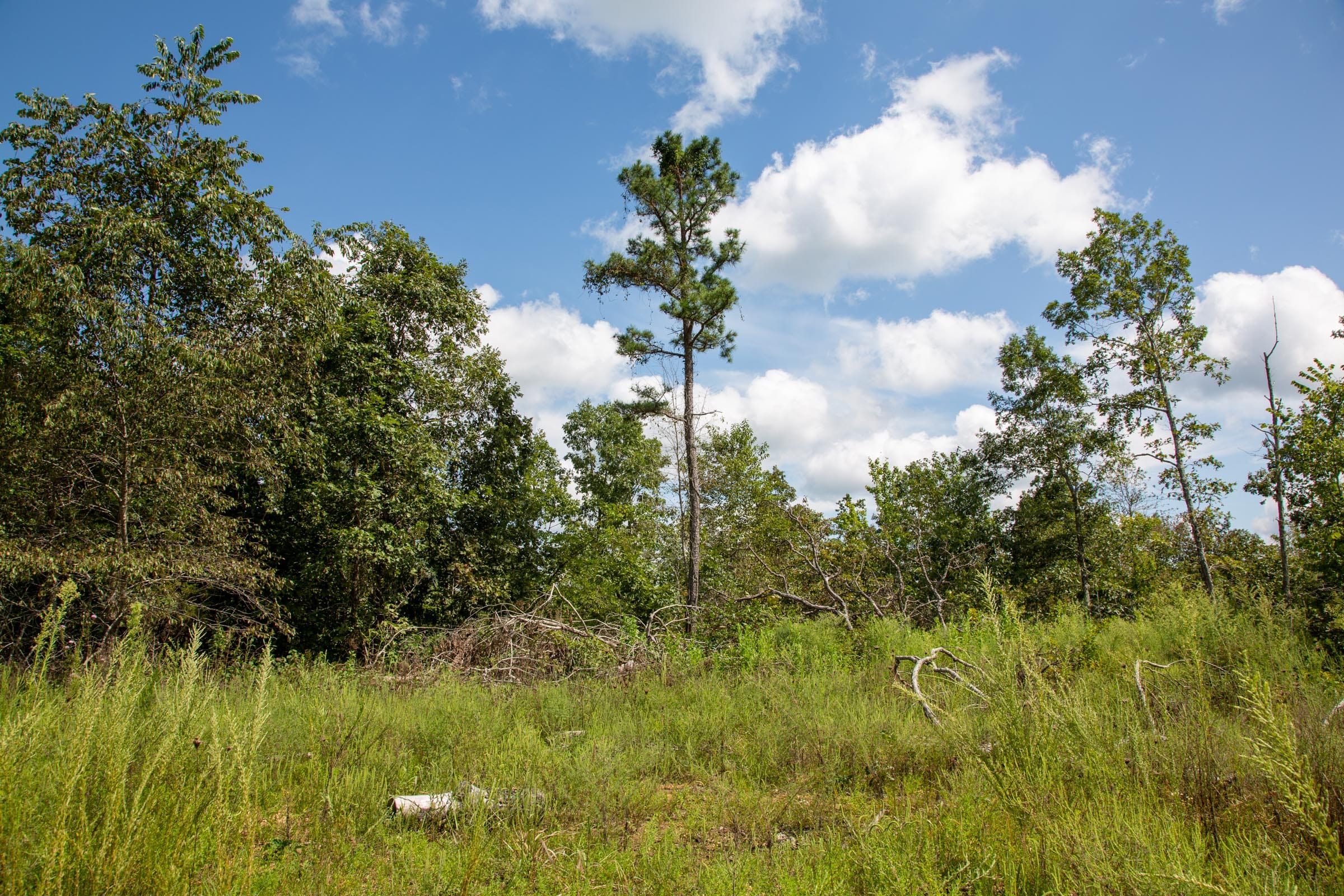 Borgmann’s Hollow Phase III Tract 80 photo 2