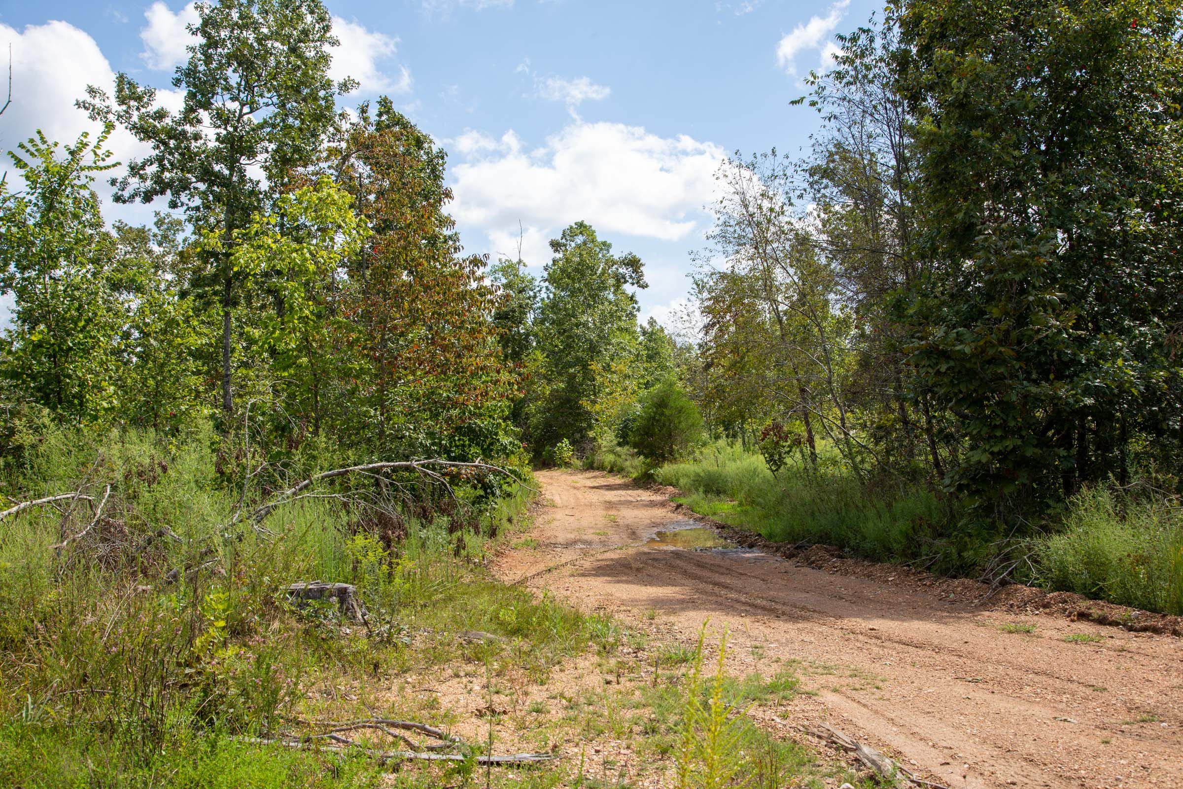 Borgmann’s Hollow Phase III Tract 80 photo 1