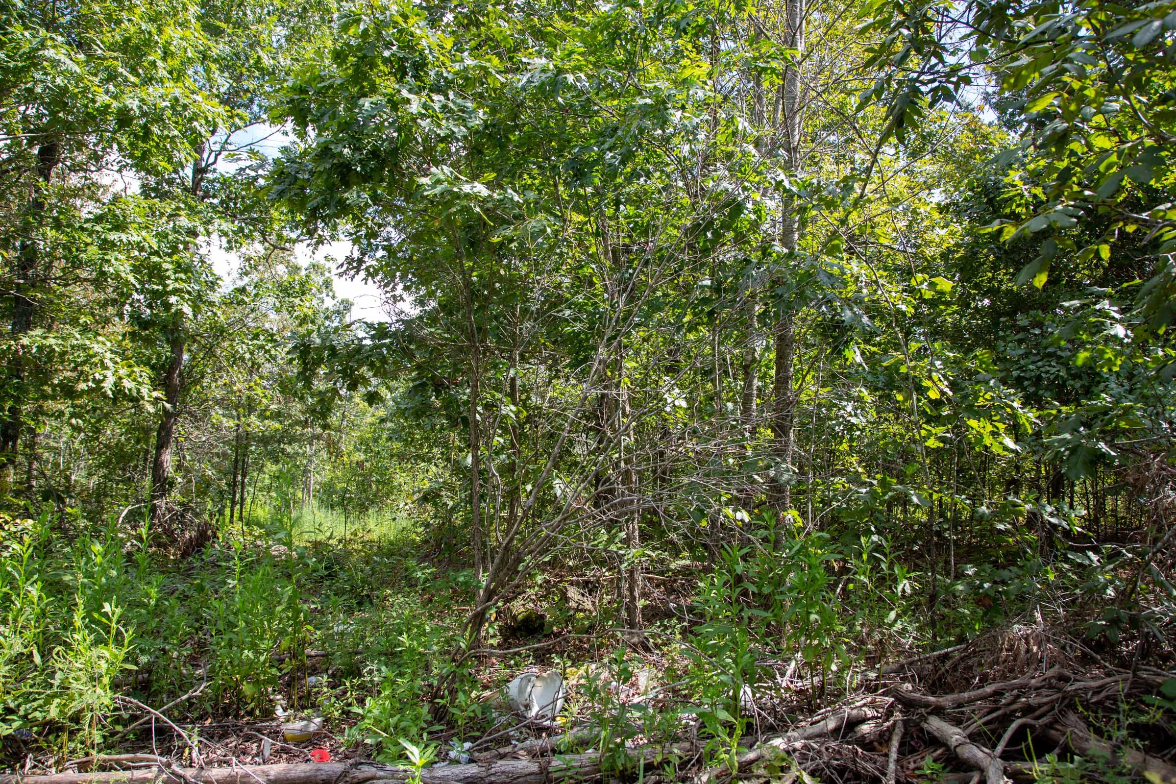 Borgmann’s Hollow Phase III Tract 80 photo 3