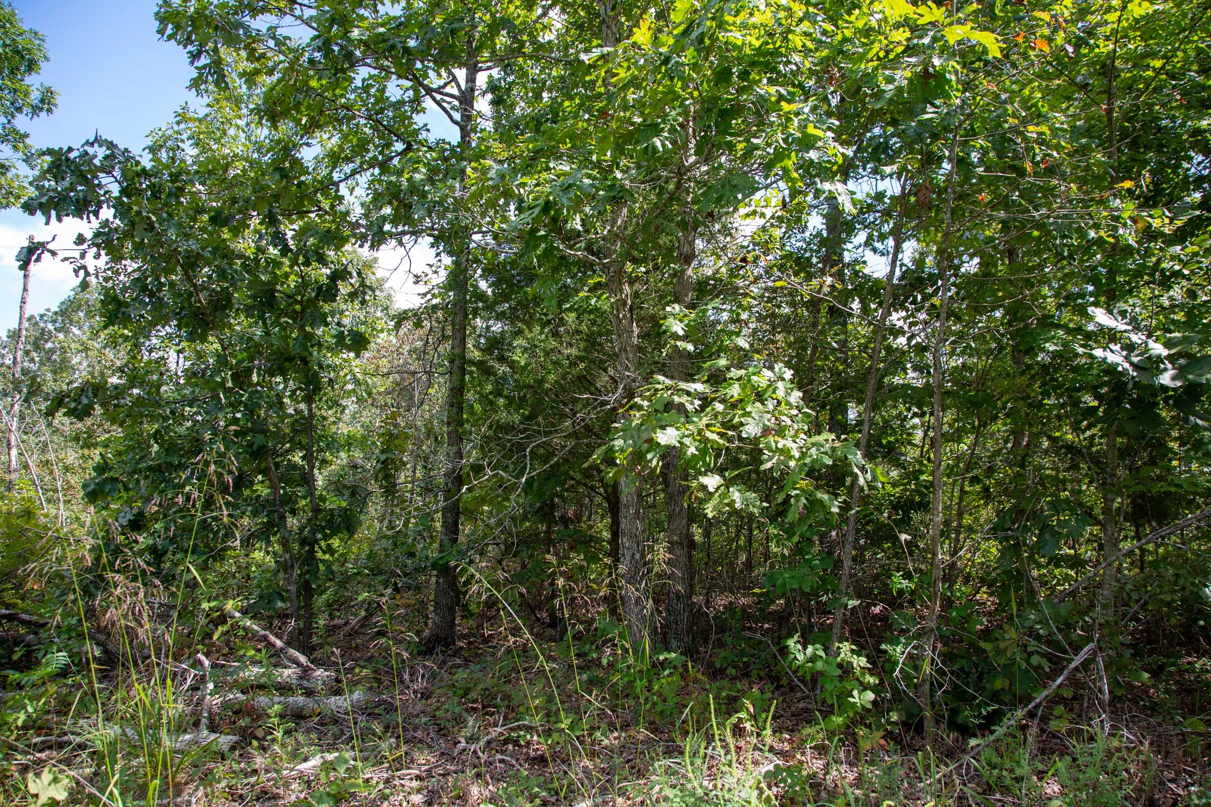 Borgmann’s Hollow Phase III Tract 80 photo 5
