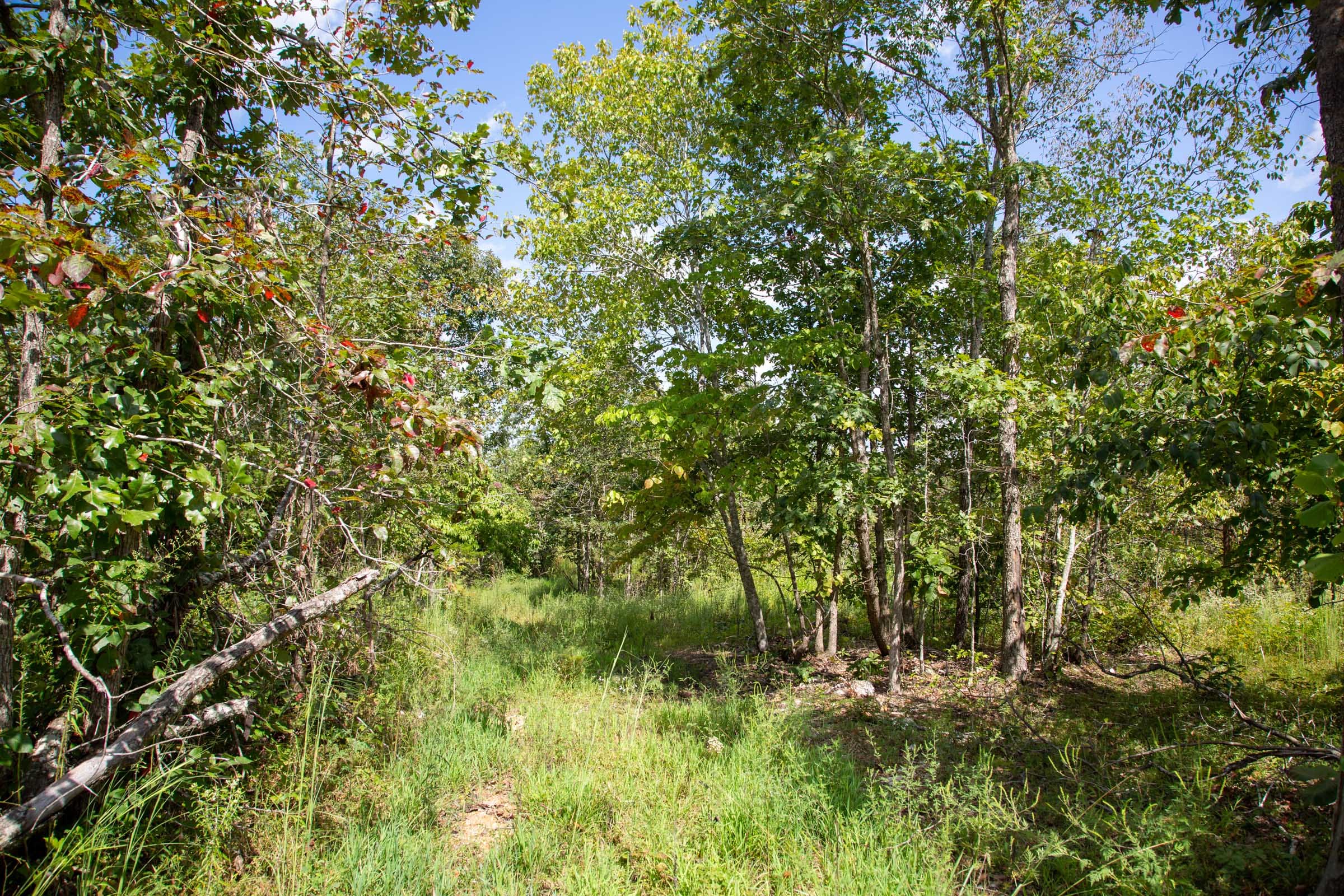 Borgmann’s Hollow Phase III Tract 80 photo 11