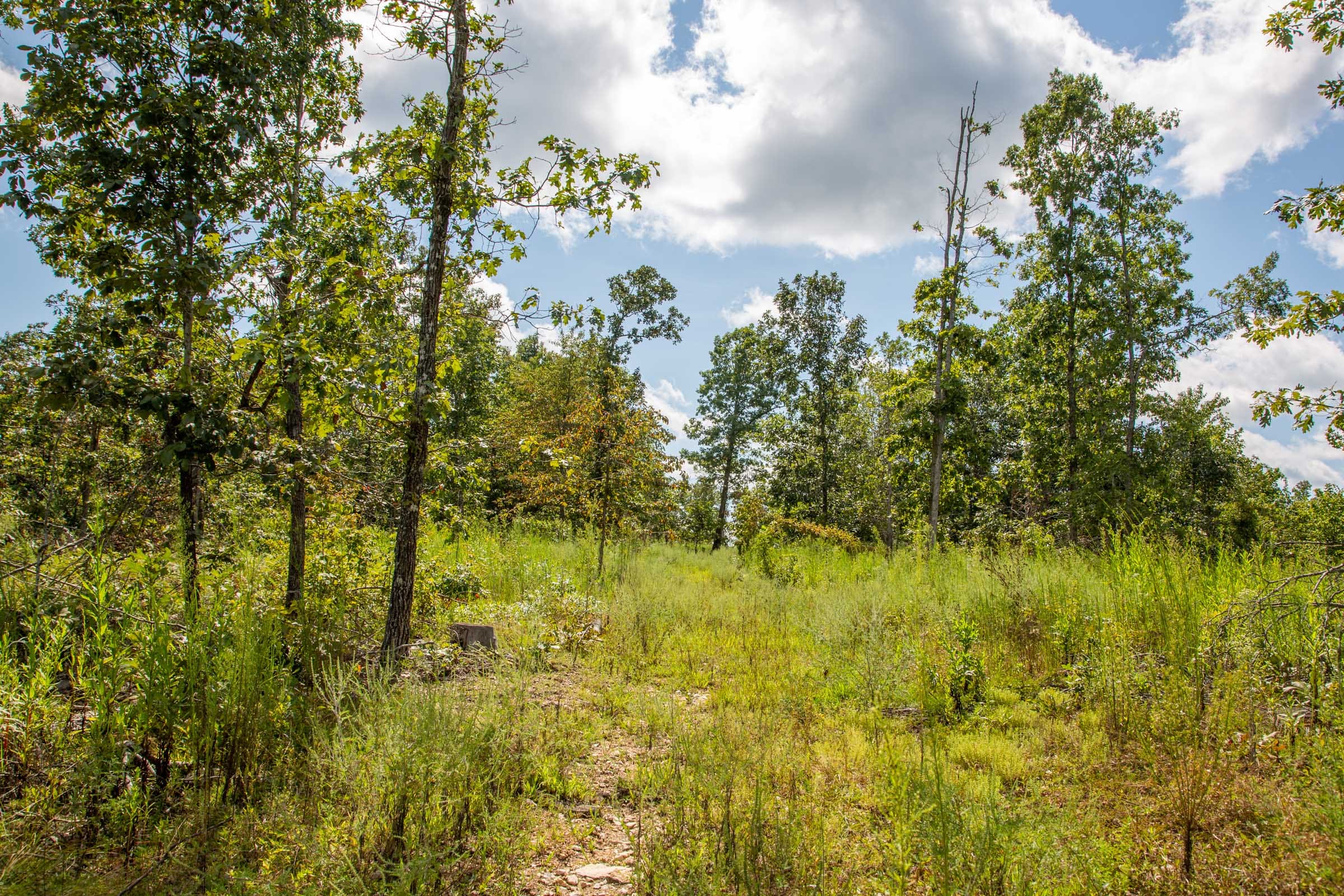 Borgmann’s Hollow Phase III Tract 80 photo 12