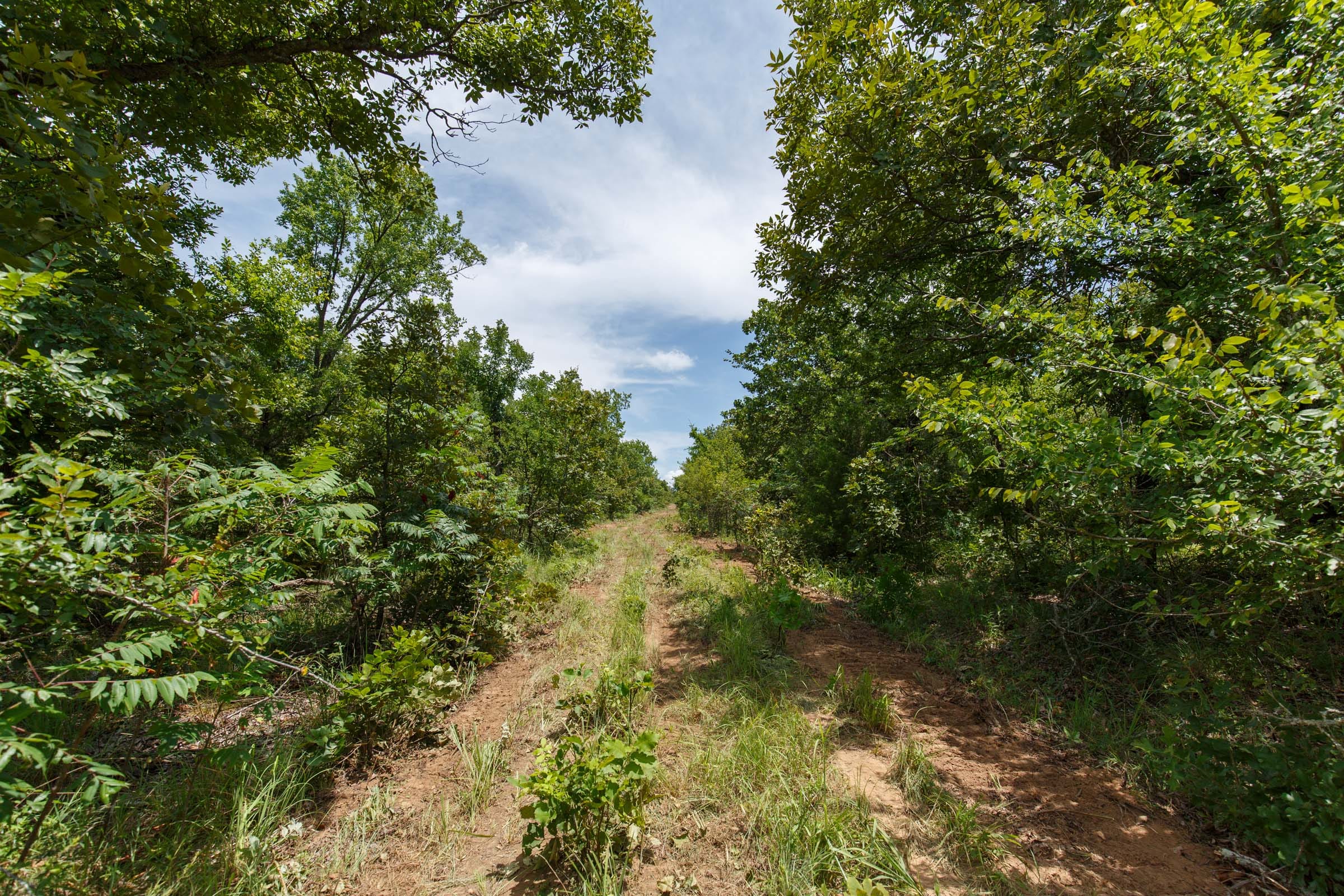 Timber Ridge Tract 9 photo 2