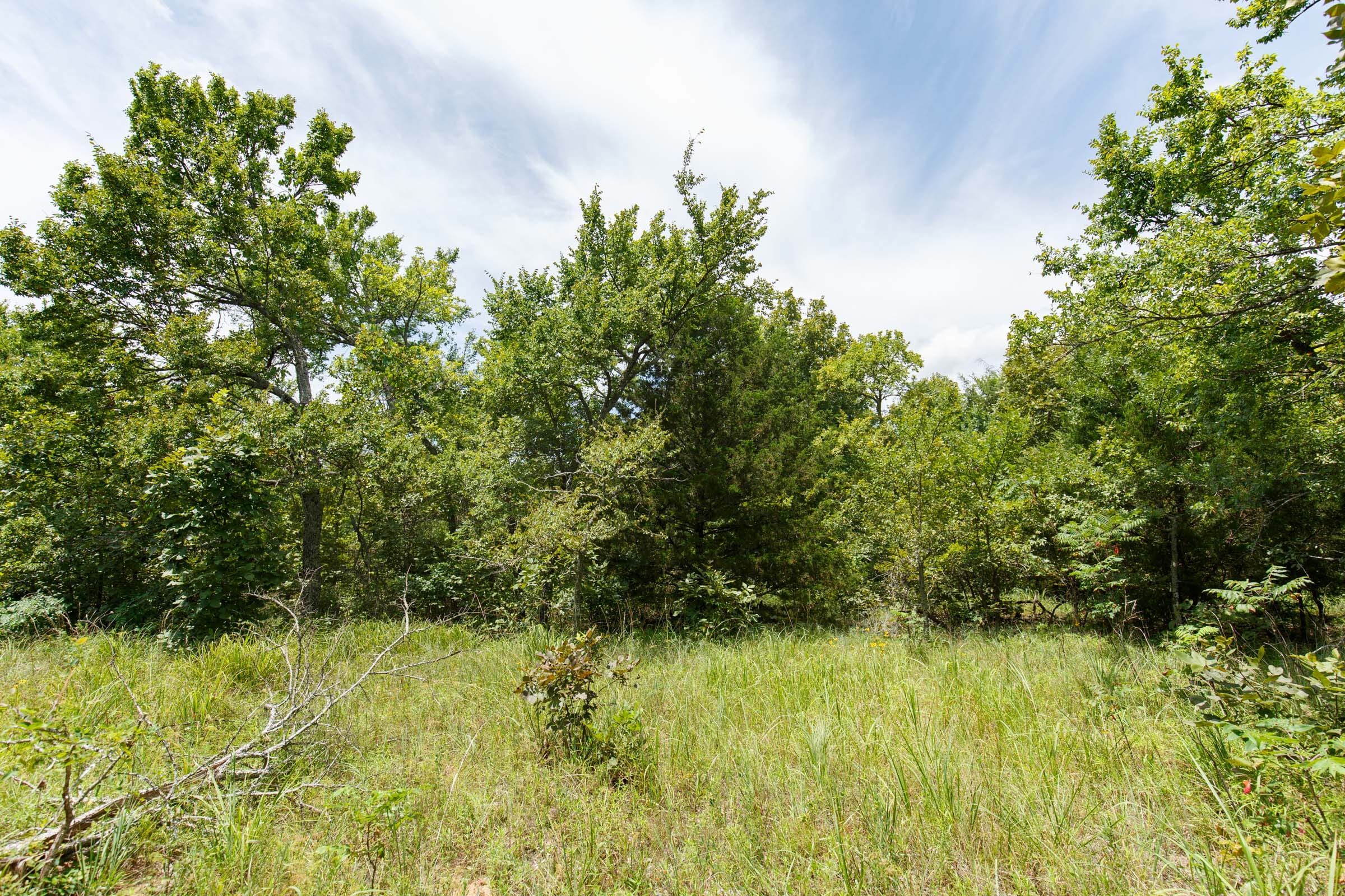 Timber Ridge Tract 9 photo 1