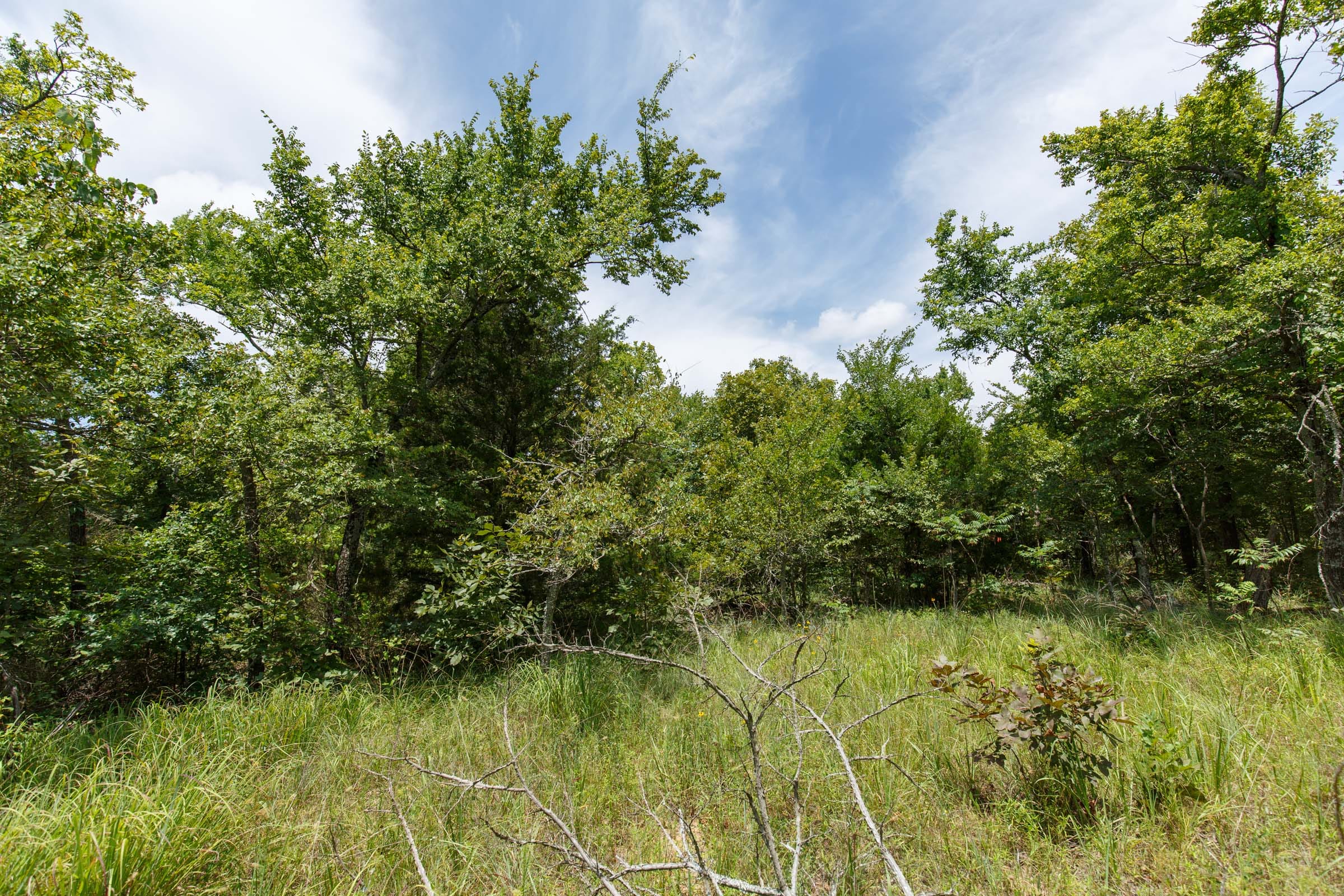 Timber Ridge Tract 9 photo 5