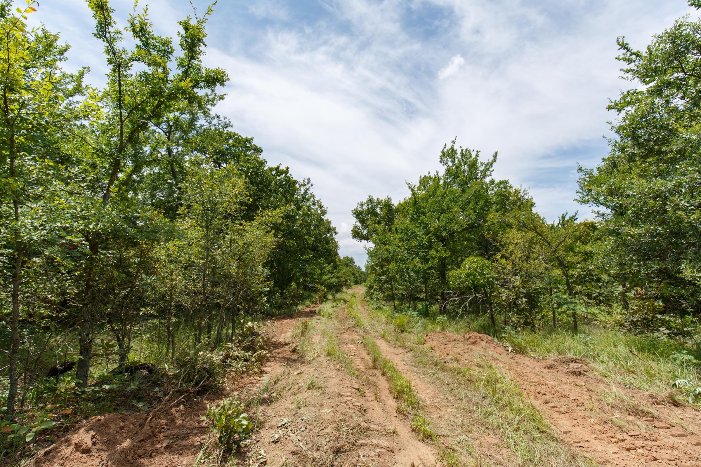 Timber Ridge Tract 9 photo 4