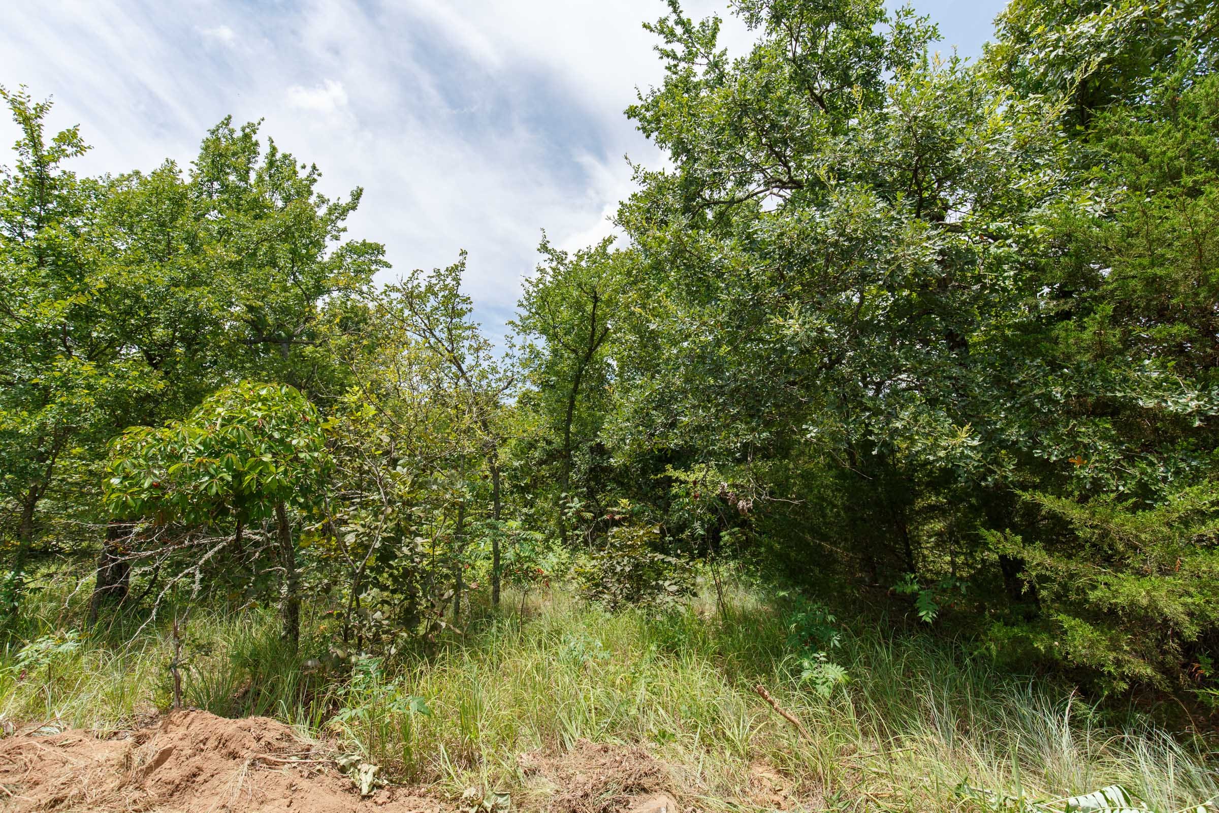 Timber Ridge Tract 9 photo 6