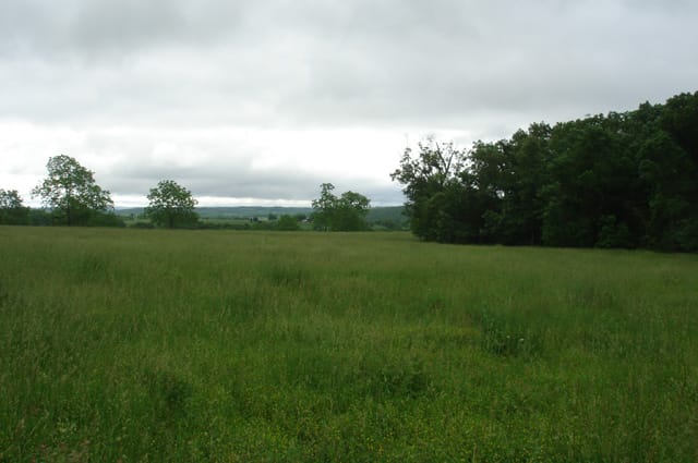 Whispering Oaks Tract 18 photo 1