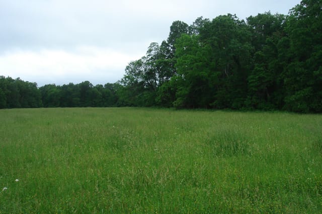 Whispering Oaks Tract 18 photo 2