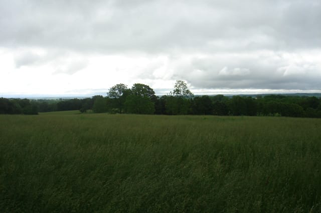 Whispering Oaks Tract 18 photo 3