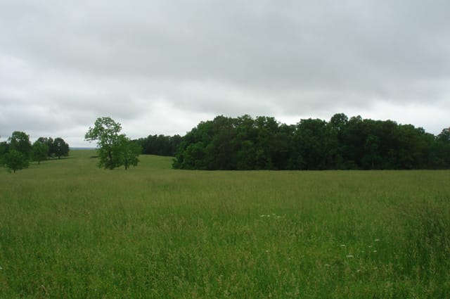Whispering Oaks Tract 18 photo 4