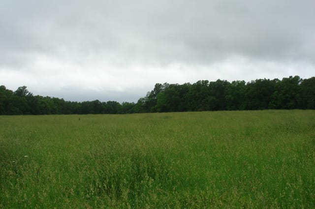 Whispering Oaks Tract 18 photo 5