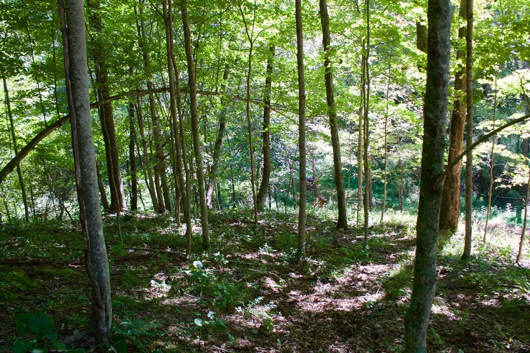 Heritage Hollow Tract 25 photo 7