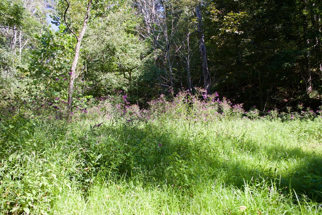 Heritage Hollow Tract 25 photo 9