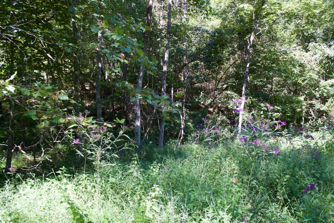 Heritage Hollow Tract 25 photo 11