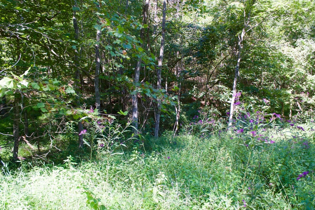 Heritage Hollow Tract 25 photo 12