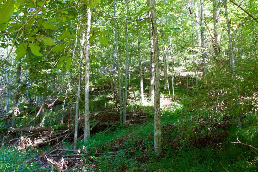 Heritage Hollow Tract 25 photo 13