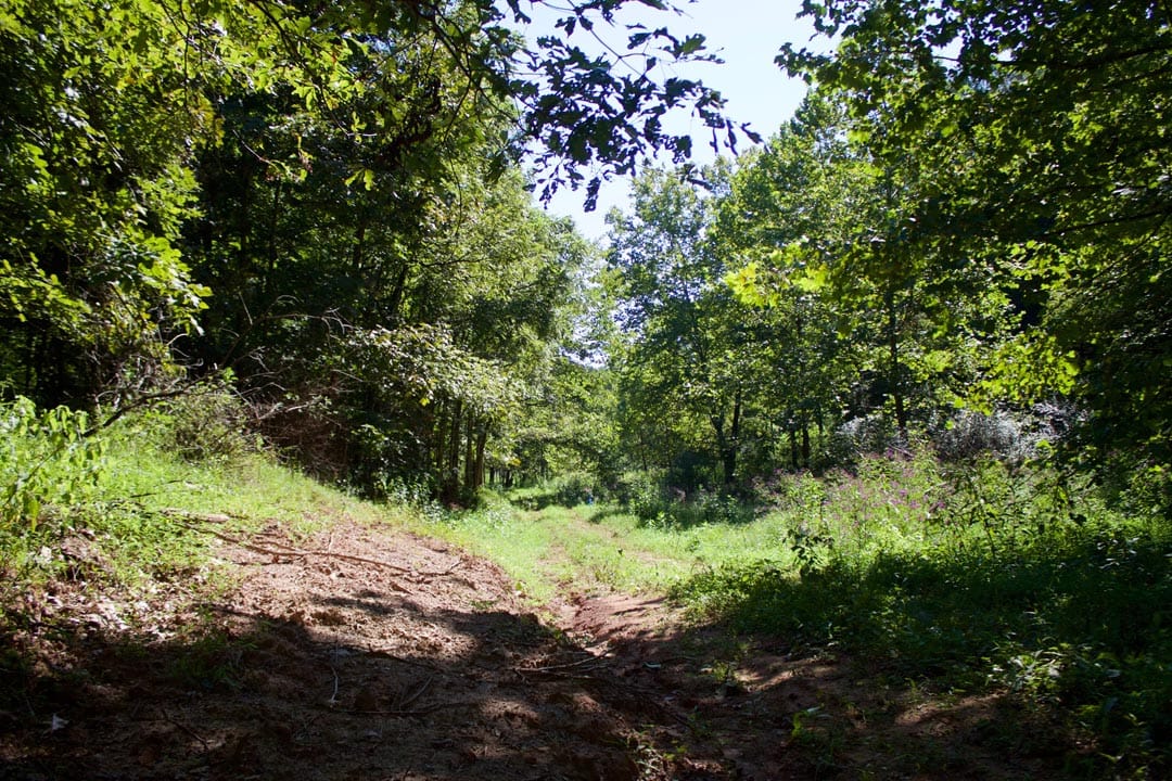 Heritage Hollow Tract 25 photo 15