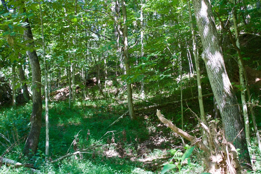 Heritage Hollow Tract 25 photo 16