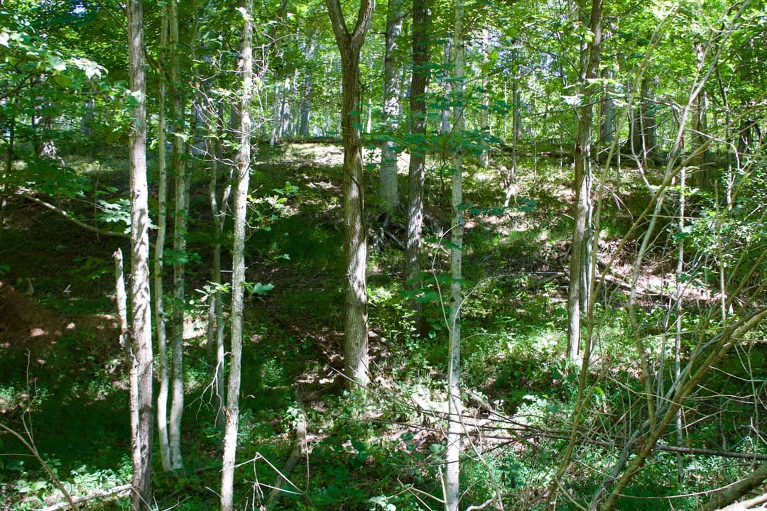 Heritage Hollow Tract 25 photo 17