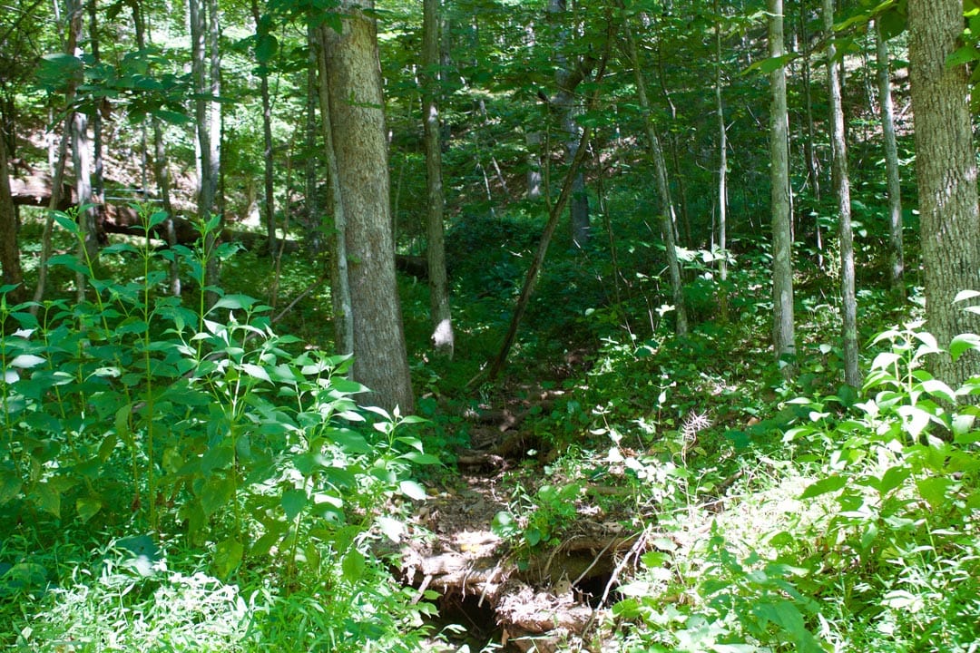 Heritage Hollow Tract 25 photo 18