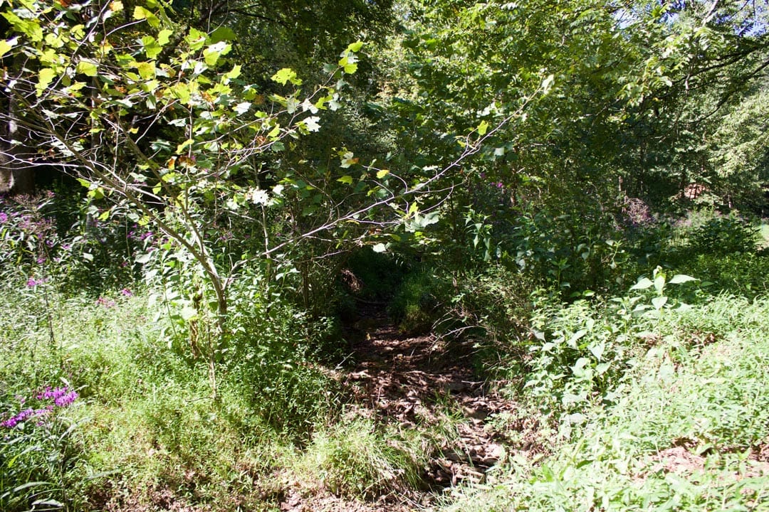 Heritage Hollow Tract 25 photo 20