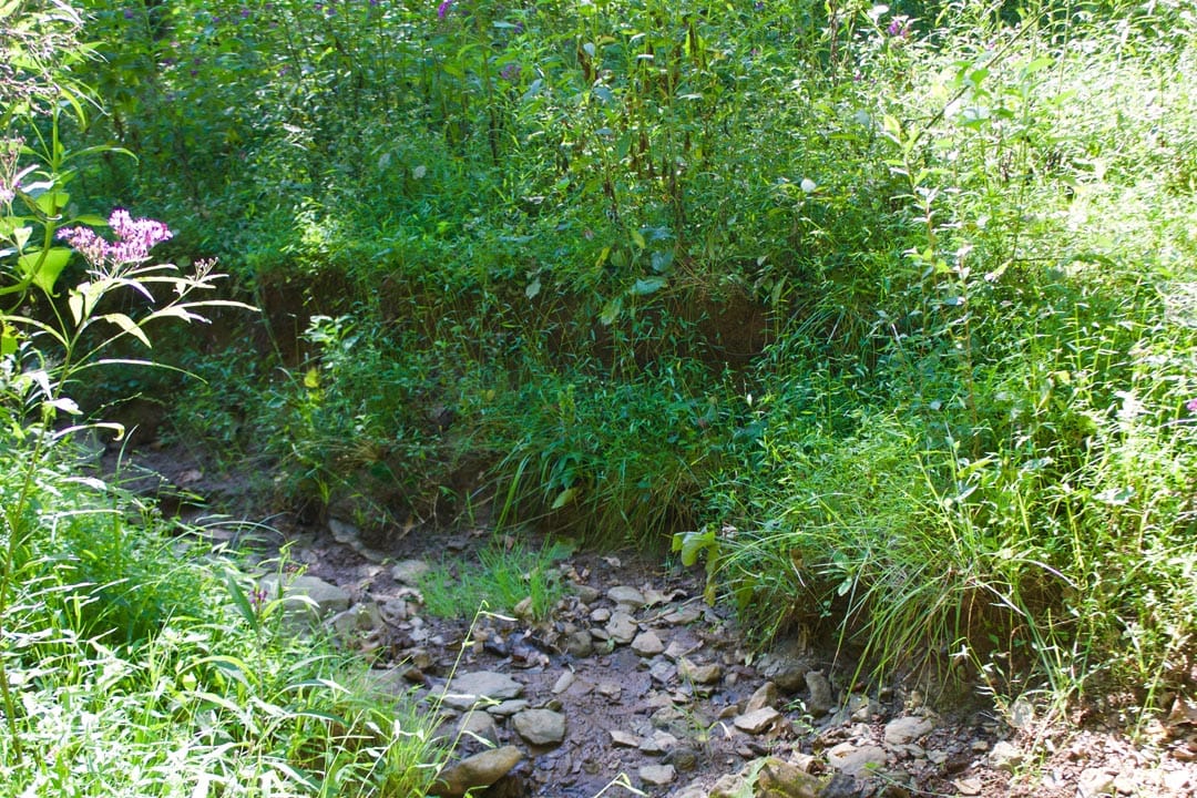 Heritage Hollow Tract 25 photo 21