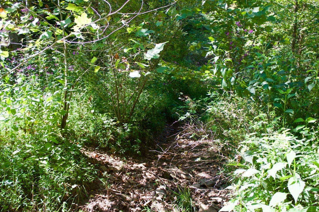 Heritage Hollow Tract 25 photo 22