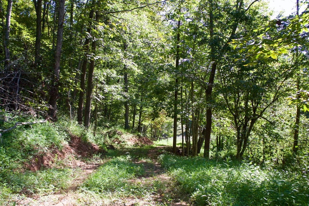 Heritage Hollow Tract 25 photo 23