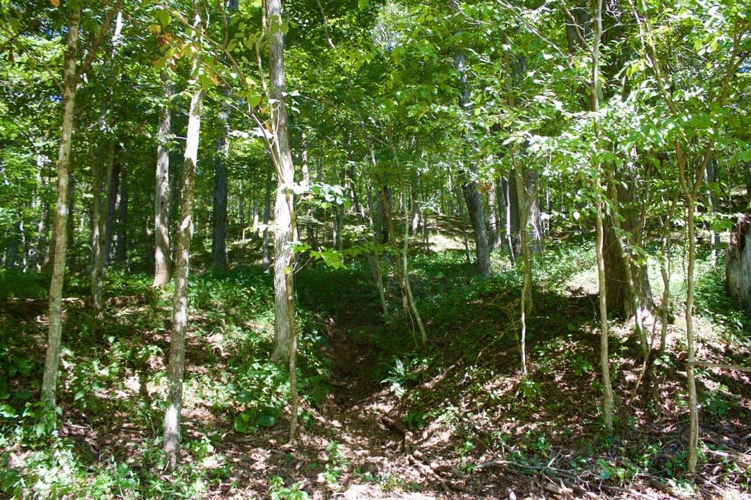 Heritage Hollow Tract 25 photo 24