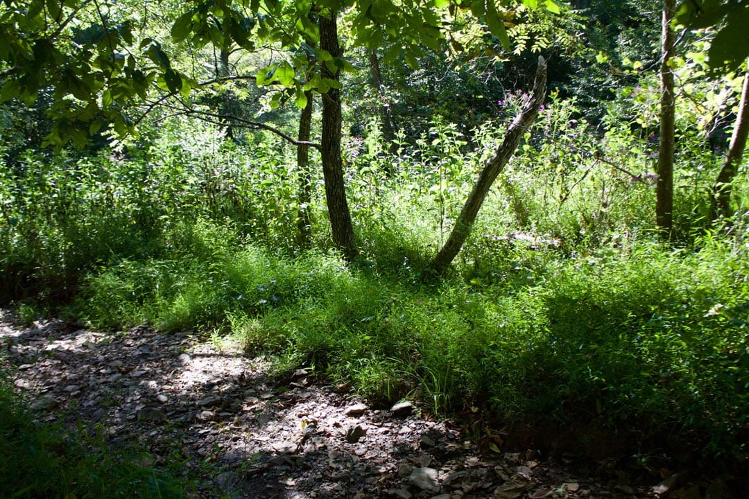 Heritage Hollow Tract 25 photo 27