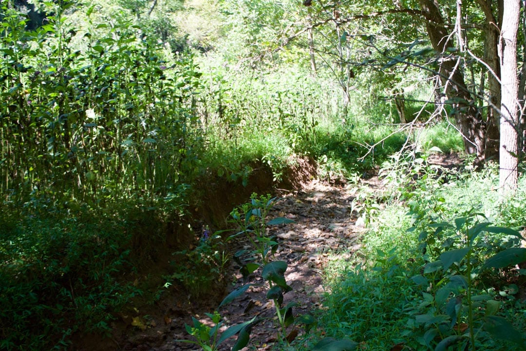 Heritage Hollow Tract 25 photo 28