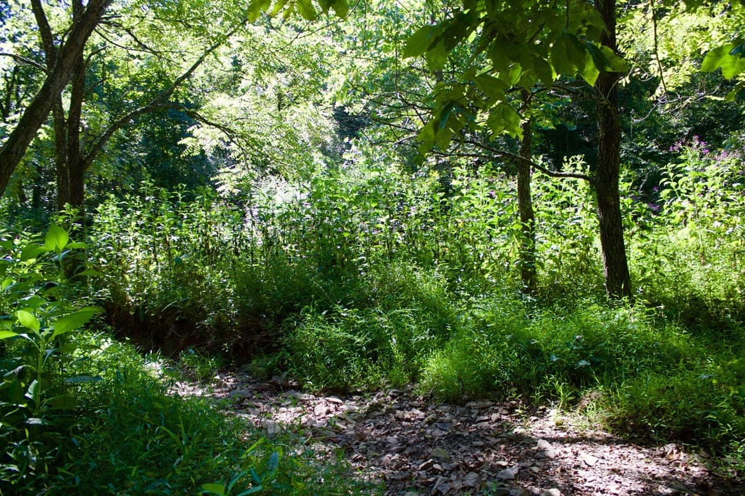 Heritage Hollow Tract 25 photo 29