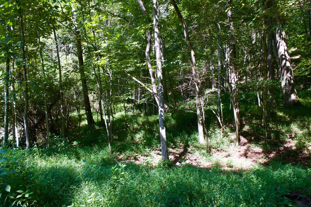 Heritage Hollow Tract 25 photo 32