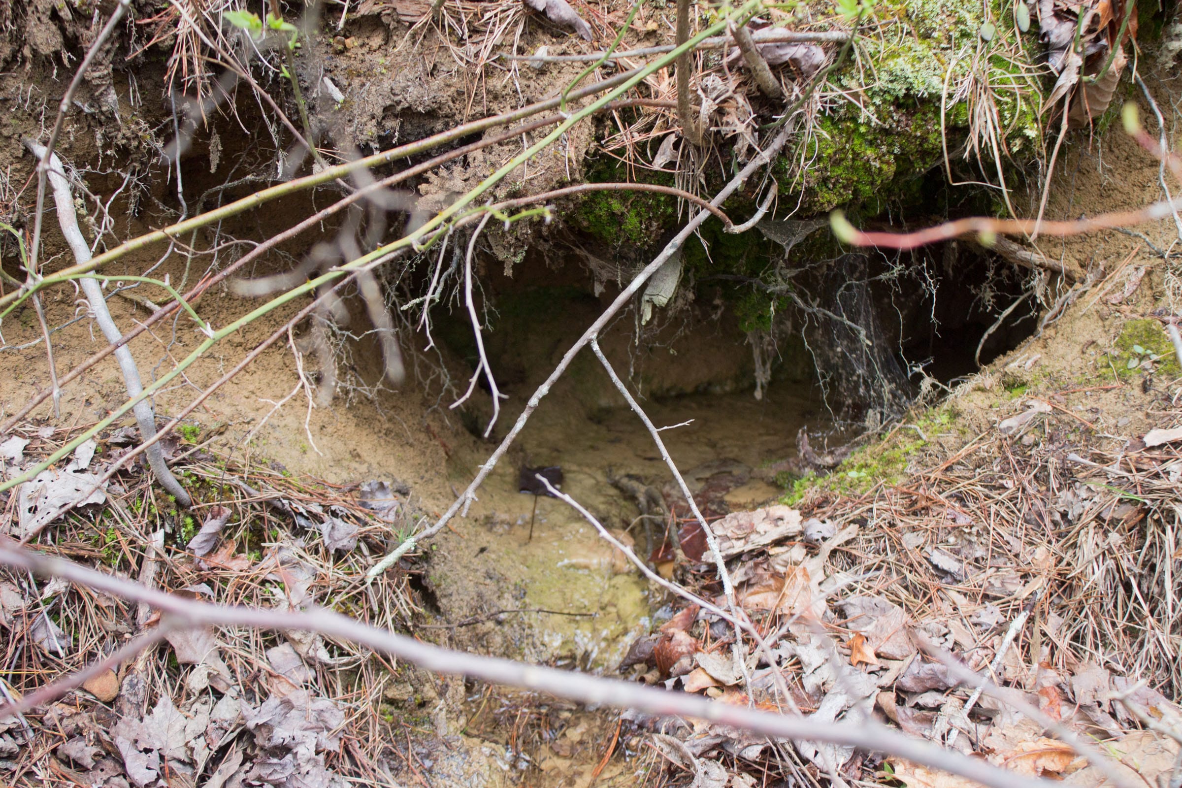 Hidden Hills Tract 18 photo 2