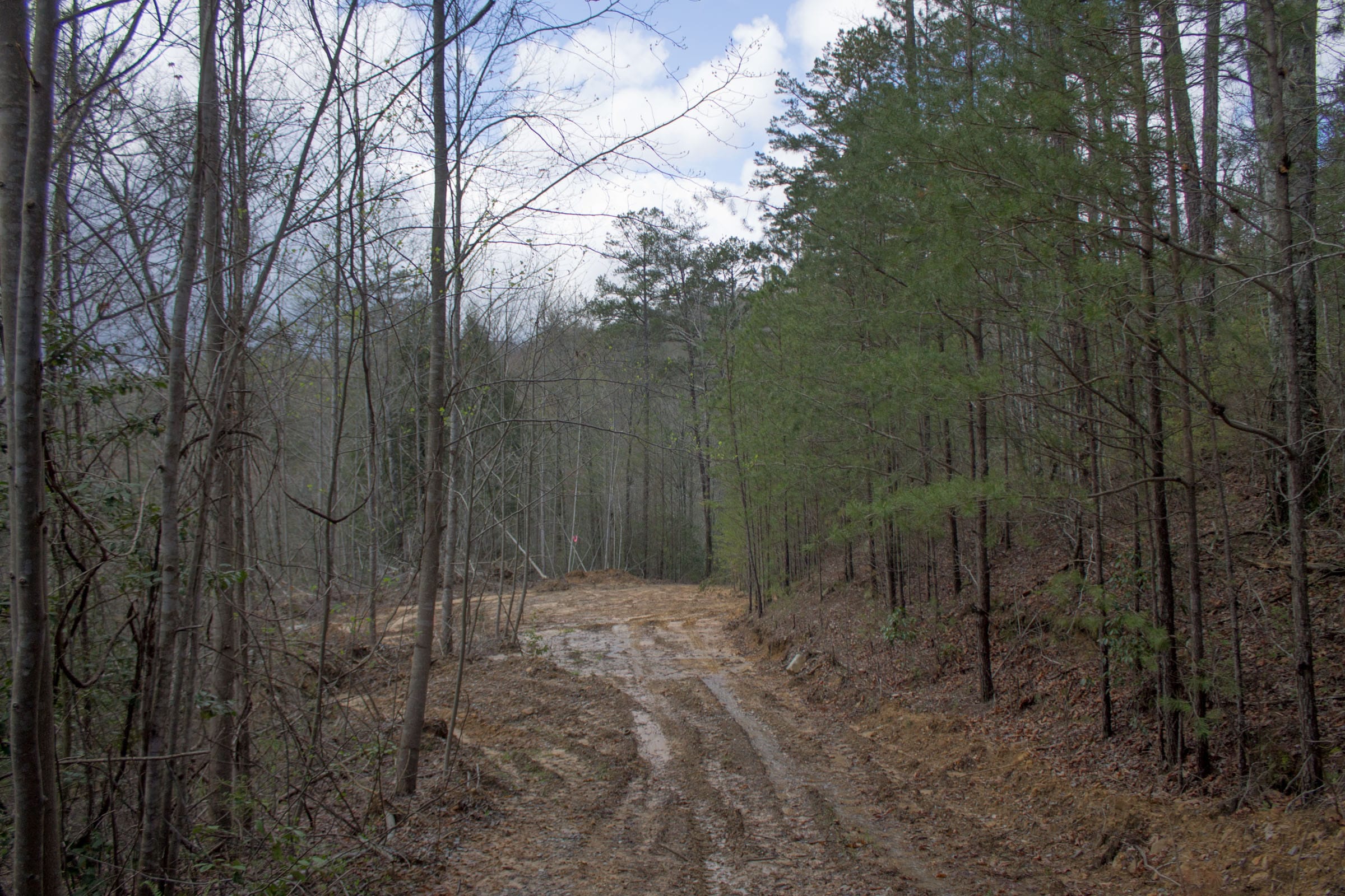 Hidden Hills Tract 18 photo 1