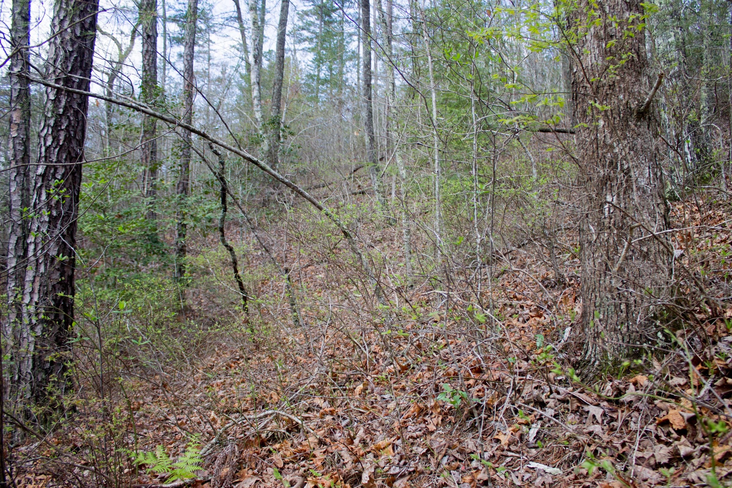 Hidden Hills Tract 18 photo 3