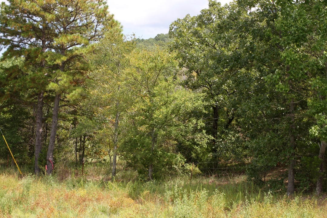 Lakeview Private Reserve Tract 7 photo 4