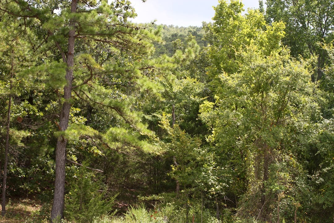 Lakeview Private Reserve Tract 7 photo 5
