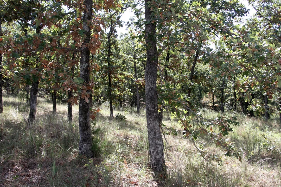 Lakeview Private Reserve Tract 7 photo 6