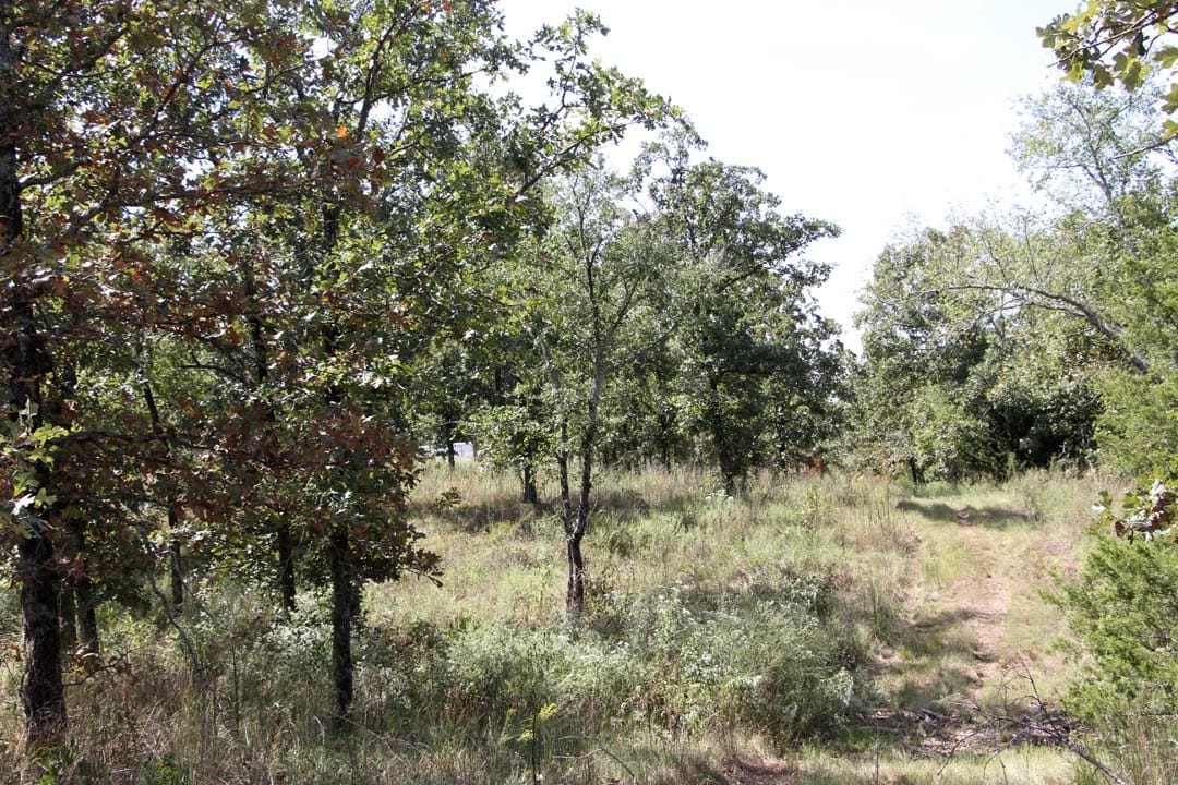 Lakeview Private Reserve Tract 7 photo 7