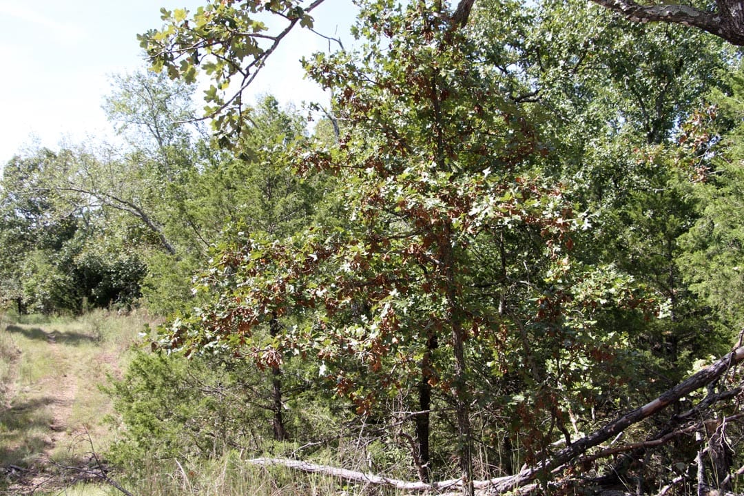 Lakeview Private Reserve Tract 7 photo 8