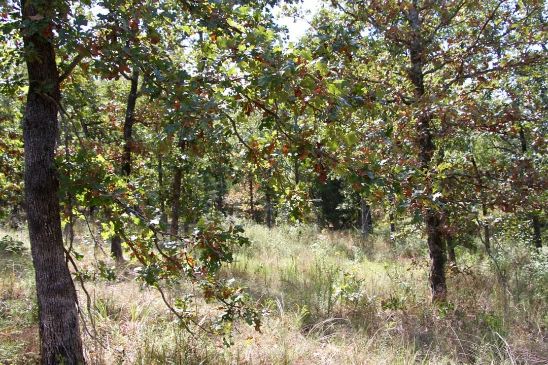 Lakeview Private Reserve Tract 7 photo 9