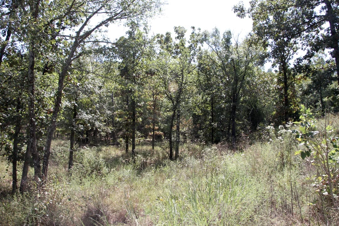 Lakeview Private Reserve Tract 7 photo 10