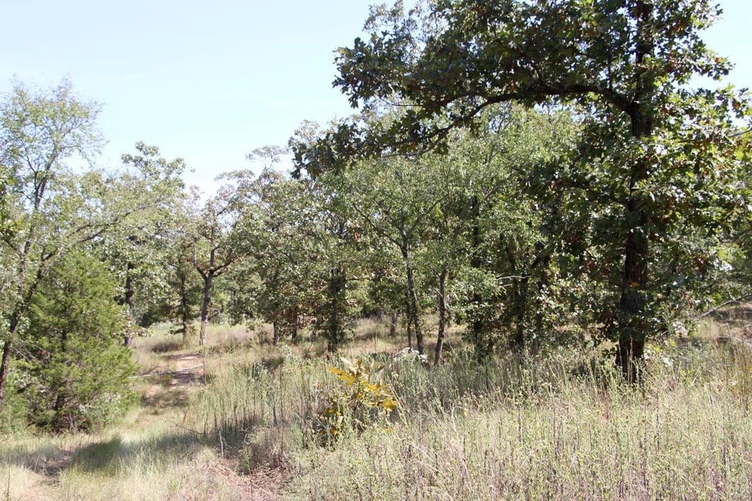 Lakeview Private Reserve Tract 7 photo 11