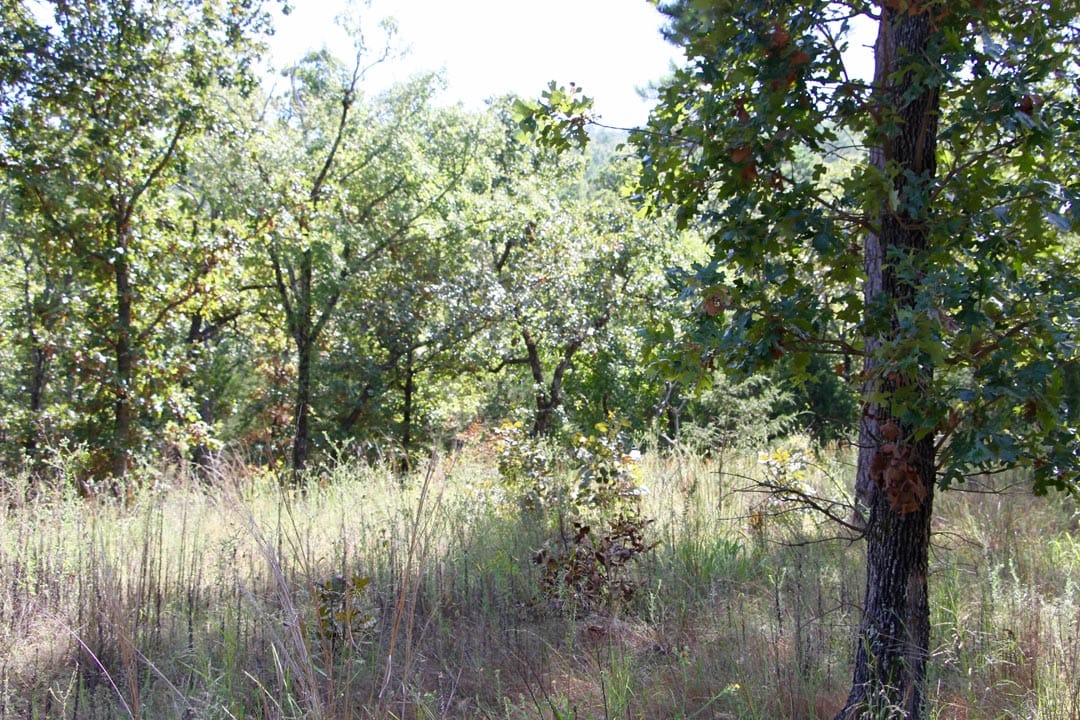 Lakeview Private Reserve Tract 7 photo 12