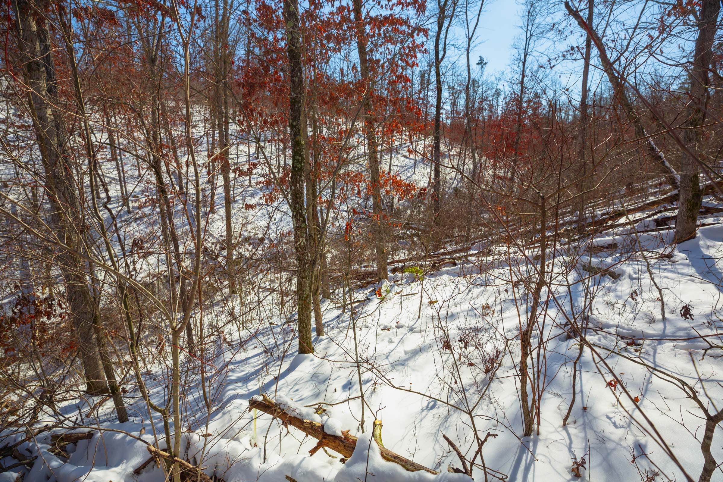Sleepy Hollow Phase I Tract 24 photo 18