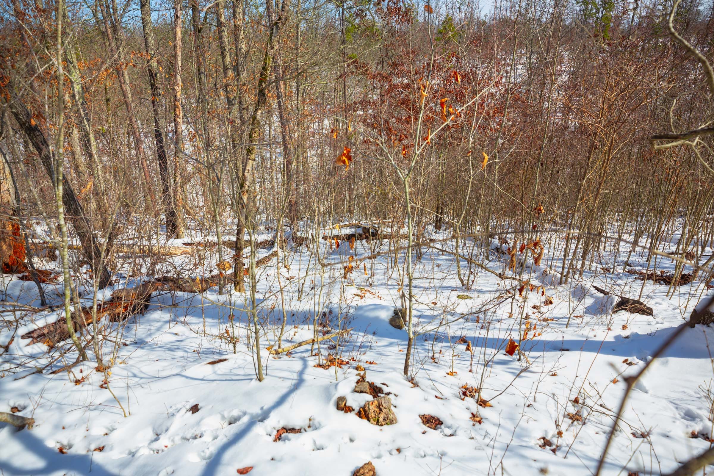 Sleepy Hollow Phase I Tract 24 photo 13